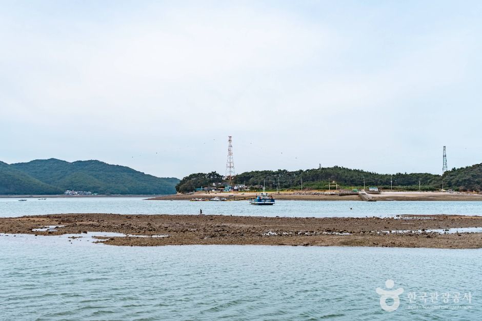 도비도 선착장 3