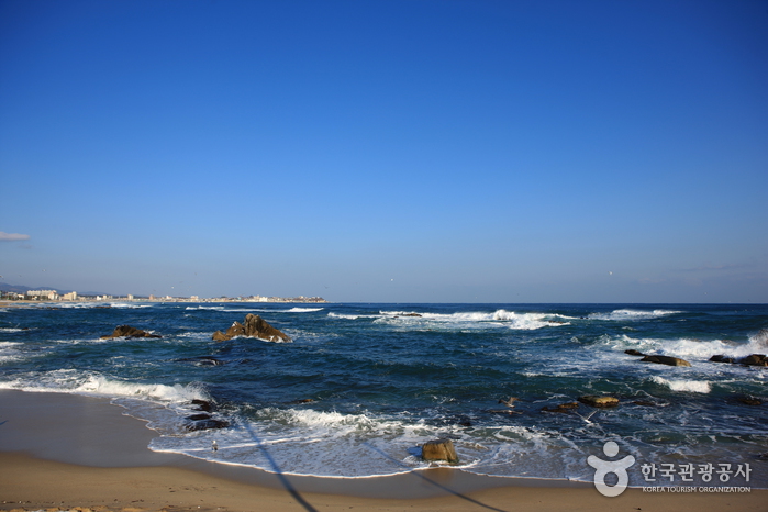 영진해변 2