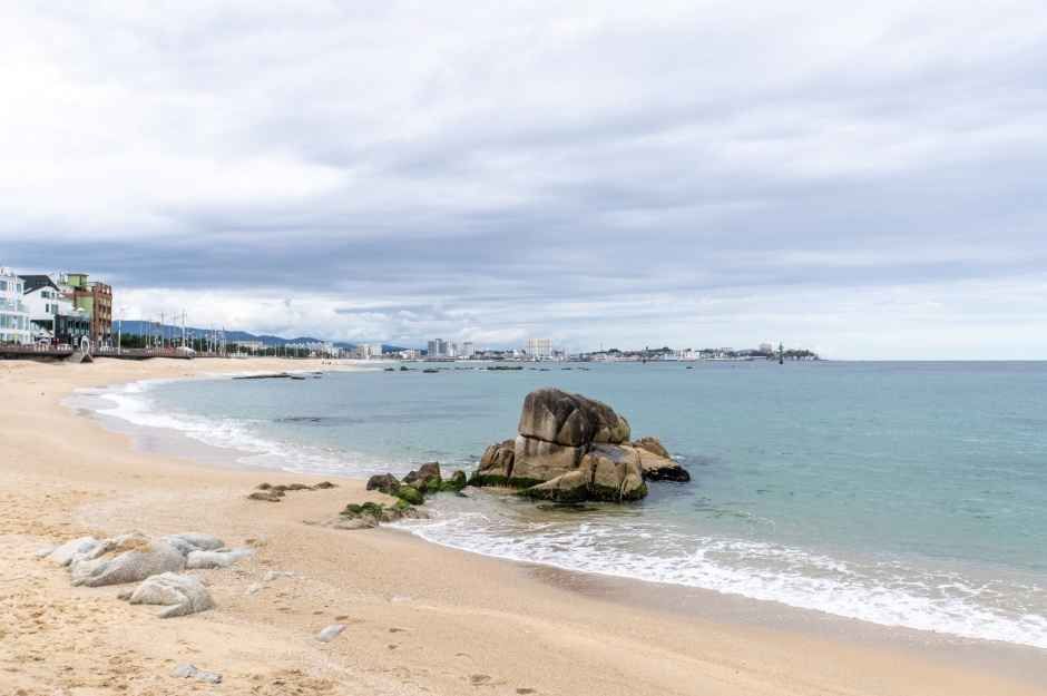 영진해변 5